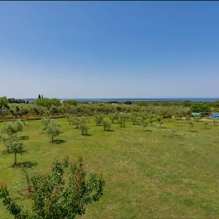 Aleksandra Holiday home *