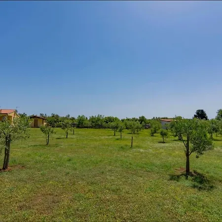 Aleksandra Holiday home Vodnjan